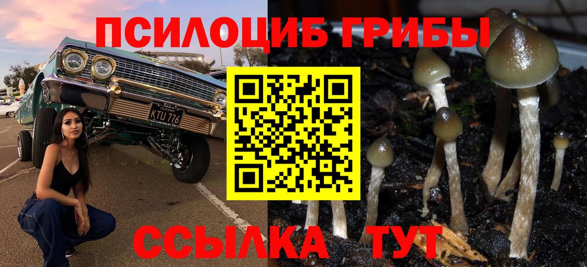 магазин  наркотиков  Псилоцибиновые грибы Cubensis  Вход с VPN  Галлюциногенные грибы Psilocybine cubensis  Белая Калитва 